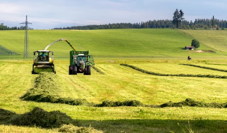 Två traktorer skördar vallgräs