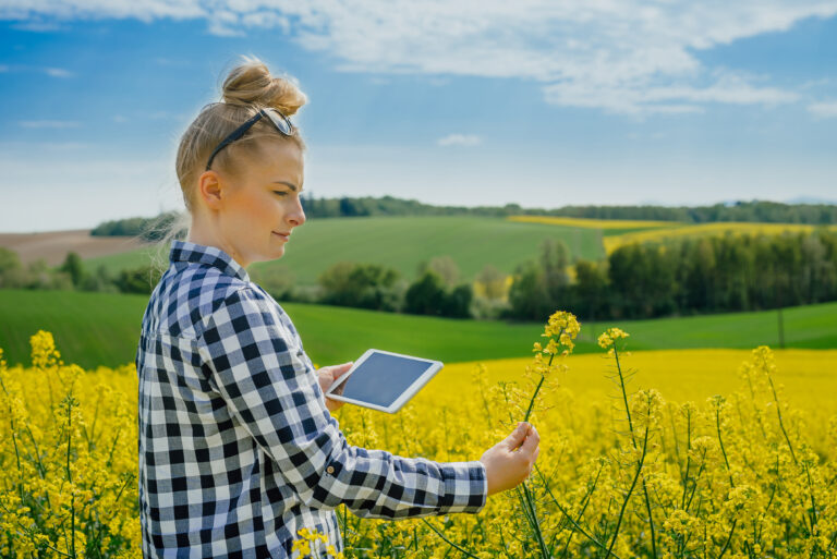 Agriculture Farmer Using Digital Tablet Examining Crops