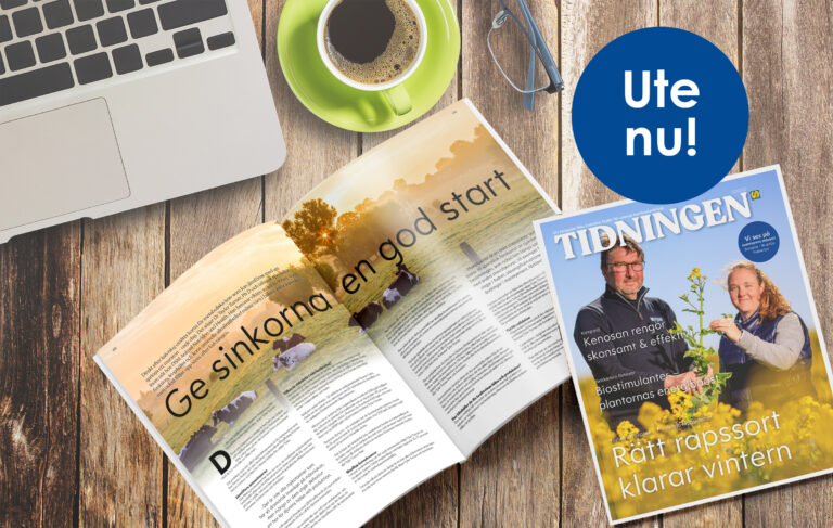 Tidningen_nr2_2023_Mockup_omslag_uppslag_beskuren-1