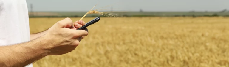 Människa håller i telefon