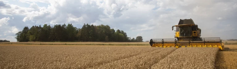 Tröska-skördar-spannmål-i-Västergötland