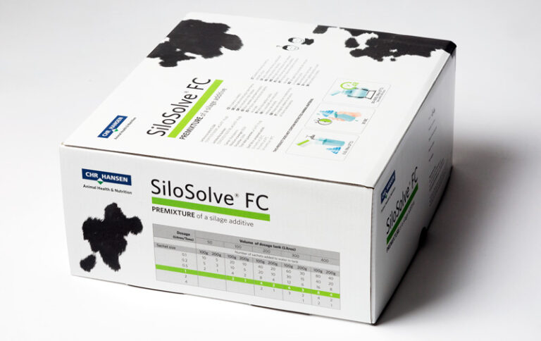 SiloSolve_FC_cowbox