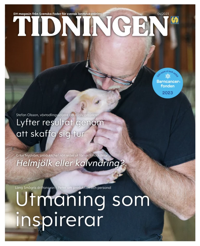 Tidningen nr 4 2023