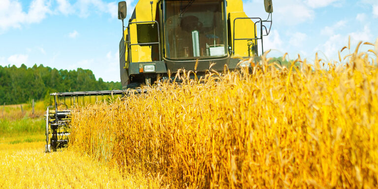 combine harvester in work