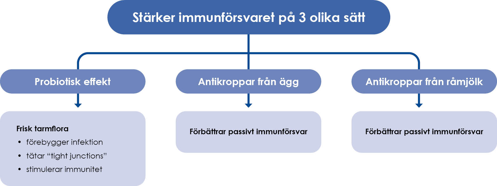 Diagram över fördelarna med Provita